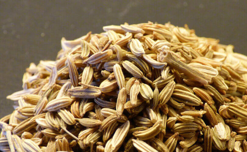 All About Digestive Enzymes and Supplements