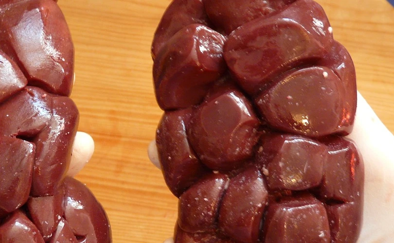 Problems With the Nutrition of the Carnivore Diet