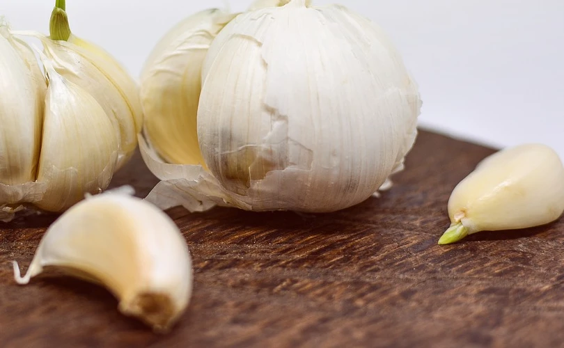 The Role of Prebiotics and Probiotics in Promoting Gut Health