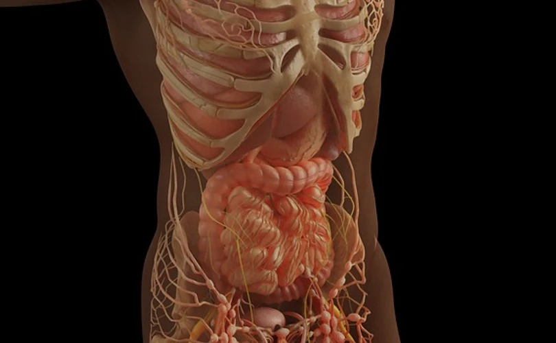 What Does Functional Dyspepsia Mean?