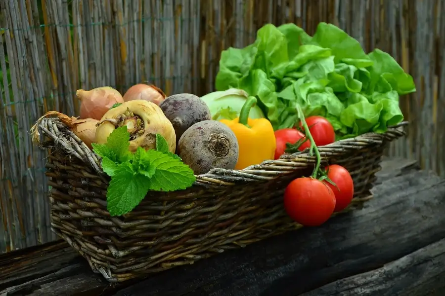 The Leaky Gut Diet is a Dietary Approach to Addressing the Condition Known as “Leaky Gut”